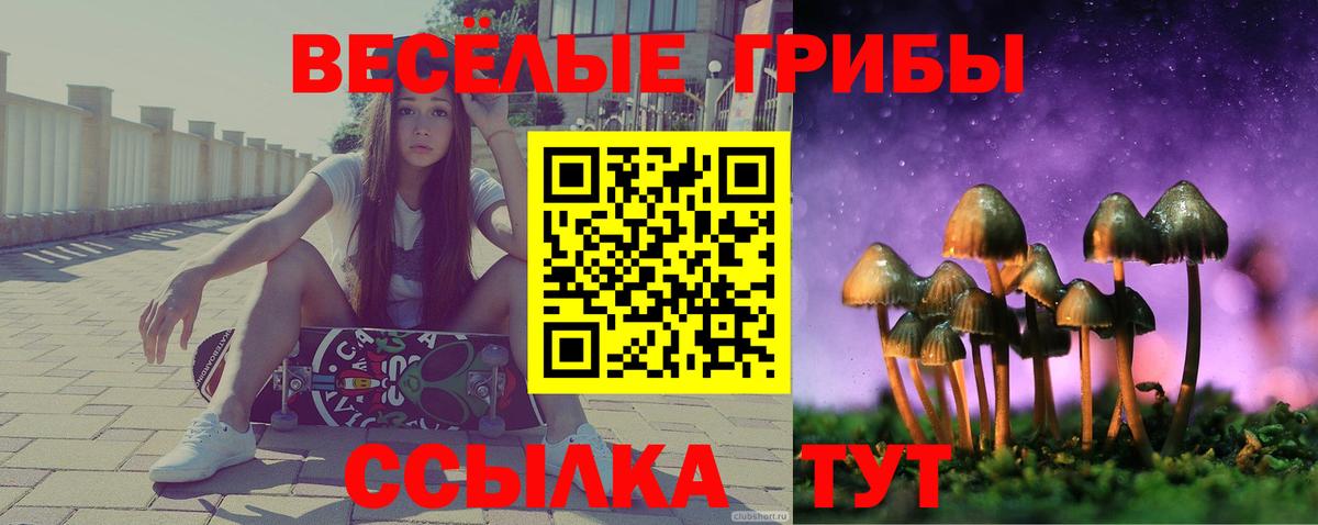 Петрозаводск  Галлюциногенные грибы Cubensis  Вход с VPN 