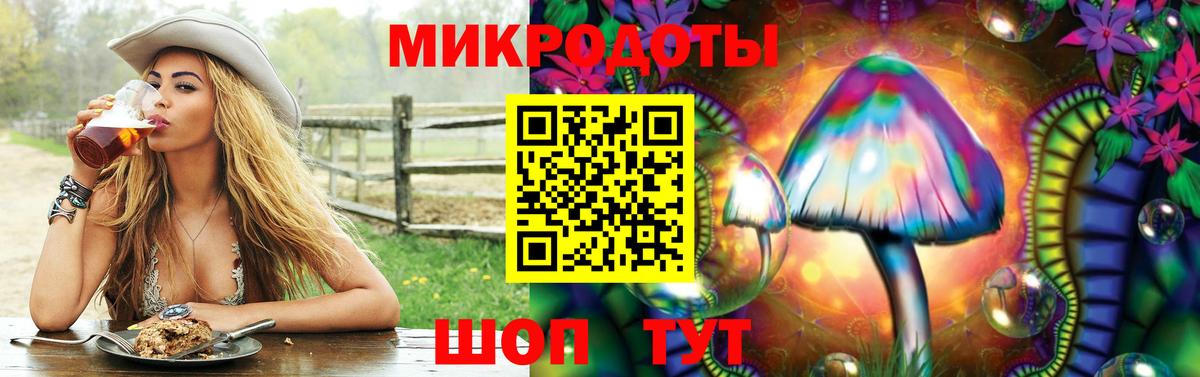 Галлюциногенные грибы Psilocybine cubensis Петрозаводск